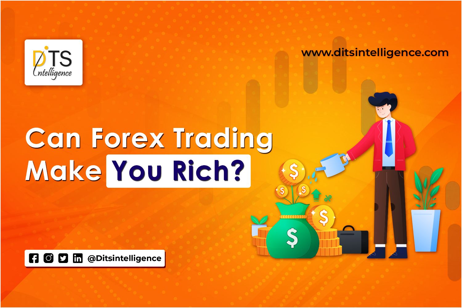 Can Forex Trading Make You Rich