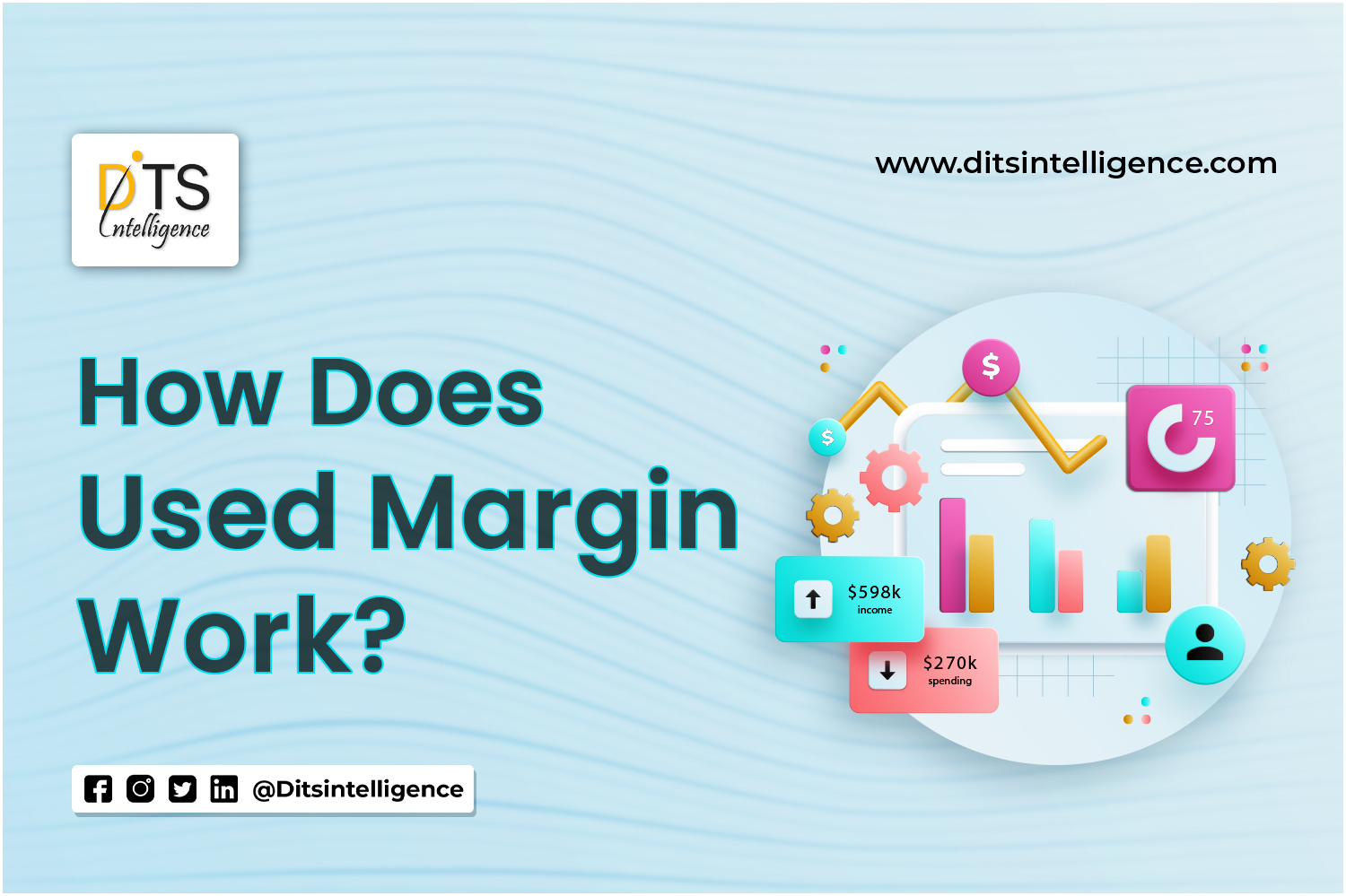 How Does Used Margin Work